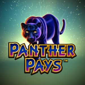 Pacanele online: Panther Pays