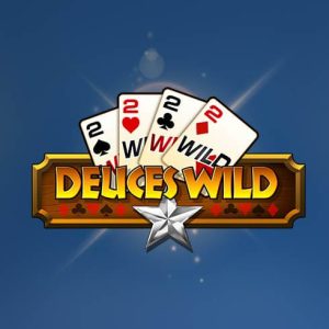 Poker ca la aparate: Deuces Wild MH