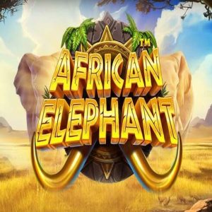 Pacanele bune: African Elephant